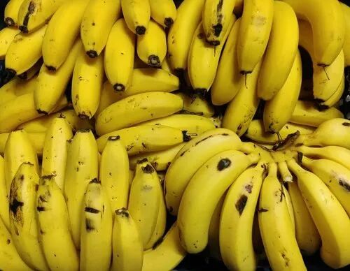 Natural Fresh Yellow Banana, Shelf Life : 3 To 5 Days