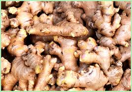 Light Brown Fresh Ginger, For Cooking, Cosmetic Products, Medicine, Packaging Type : PP Bags