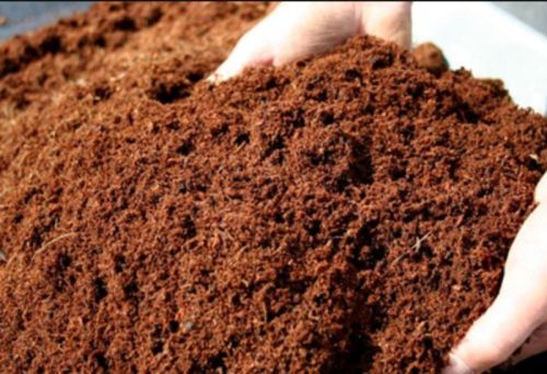 Brown Cocopeat Powder, For Agriculture, Standard : Bio Grade