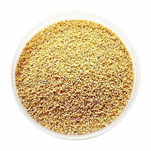 Natural Foxtail Millet, For Cooking, Cattle Feed, Packaging Type : PP Bag