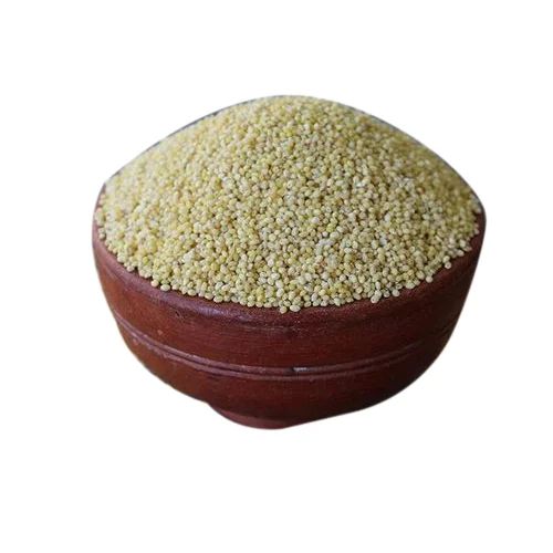 Natural Little Millet, For Cooking, Cattle Feed, Packaging Type : PP Bag