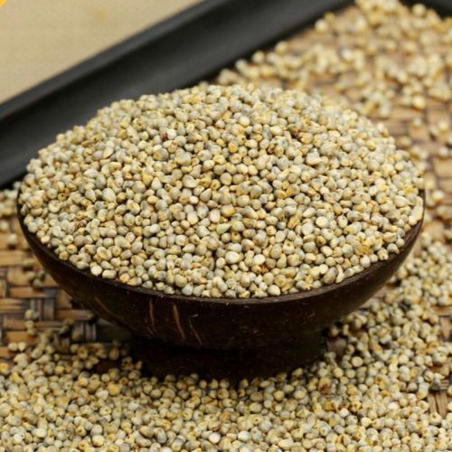 Natural Pearl Millet, For Cooking, Cattle Feed, Packaging Type : PP Bag