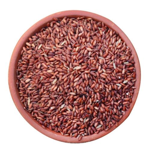 Hard Natural Poongar Red Rice, For Cooking, Packaging Type : PP Bags