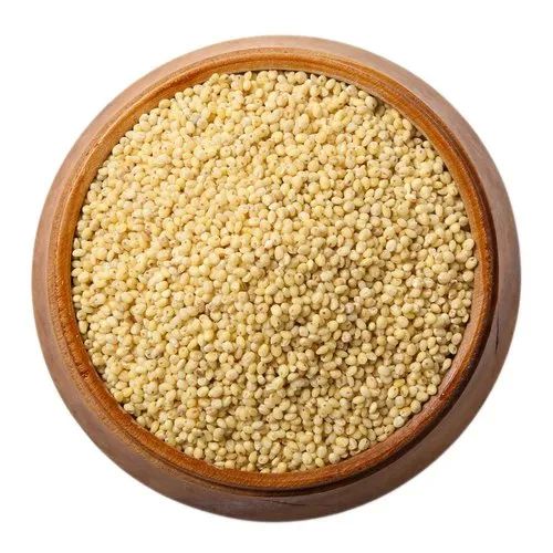 Natural Proso Millet, For Cooking, Cattle Feed, Packaging Type : PP Bag