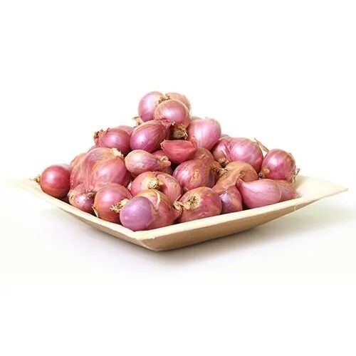 Natural Small Onion, For Food, Shelf Life : 15days