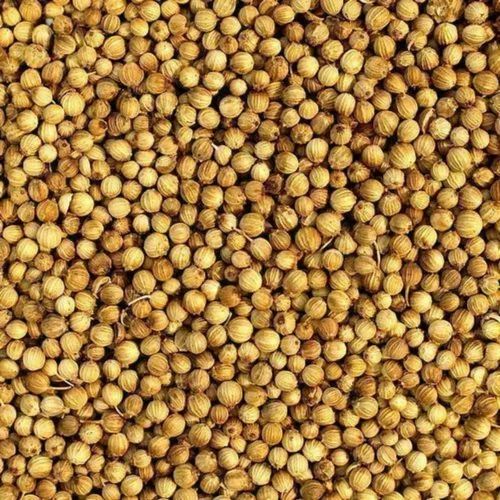 Brown Whole Coriander Seed, For Cooking, Packaging Size : Loose