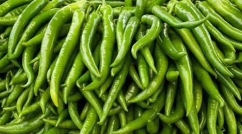 Fresh Broad Green Chilli, For Cooking, Making Pickles, Packaging Size : 20 Kg
