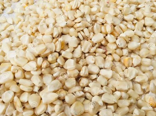 Hybrid White Corn Seeds, Style : Fresh