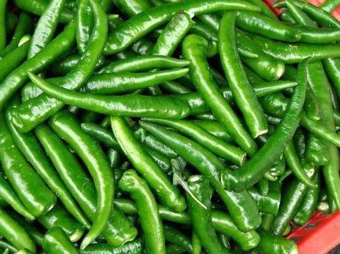 Spicy Natural Green Chilli, For Cooking, Packaging Size : 20 Kg