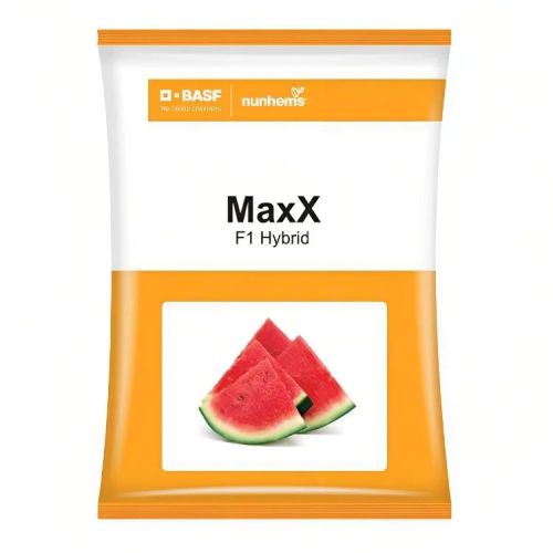 Maxx F1 Hybrid Watermelon Seeds, For Agriculture, Packaging Type : Plastic Pack