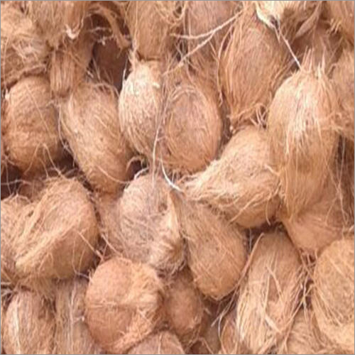 Hard Organic Semi Husked Coconut, For Pooja, Medicines, Color : Brown