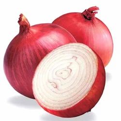 Fresh Bhagva Red Onion, For Food, Shelf Life : 7-15days