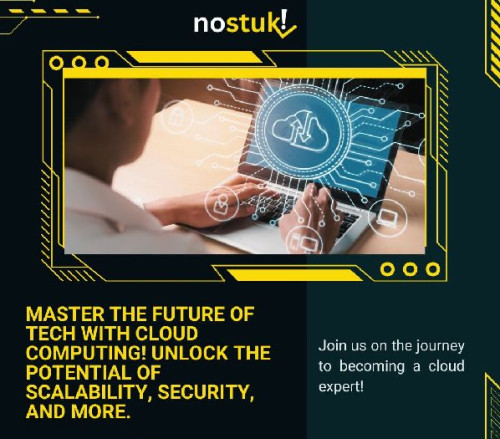 Software Customization Services