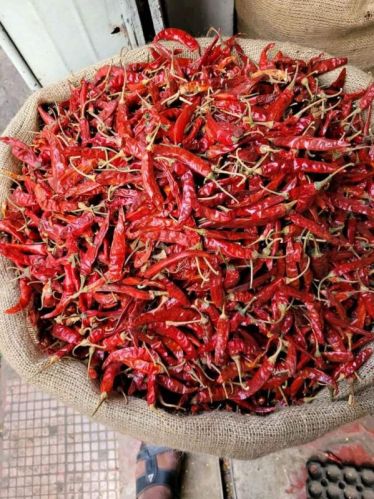 With Stem Raw Natural Dried Red Chili, For Food Medicine, Spices, Cooking, Certification : Import Certifications