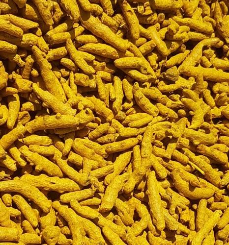 Yellow Double Polished Turmeric Finger