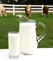 Fresh Buffalo Milk, Purity : 100%