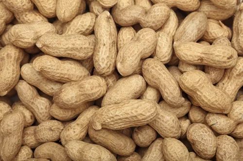 Natural Brown Shelled Groundnuts, For Making Oil, Making Snacks, Shelf Life : 6 Month