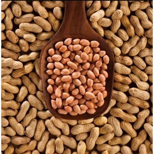 Natural Brown Small Groundnuts, For Making Oil, Making Snacks, Shelf Life : 6 Month