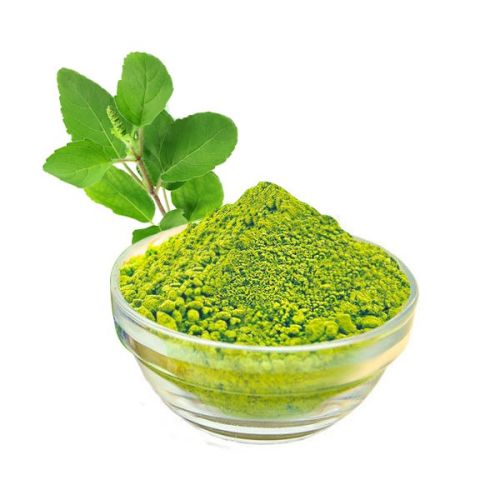 Natural Tulsi Powder, Packaging Type : Bag