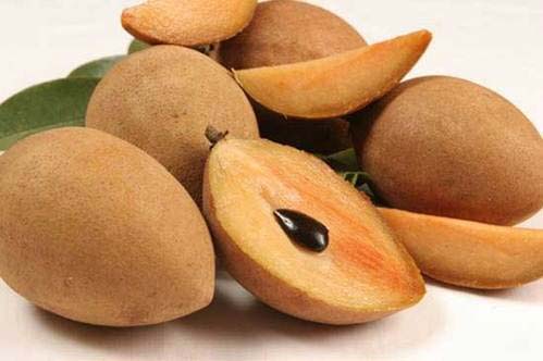 Fresh Kalipatti Sapota, Packaging Type : Paper Box