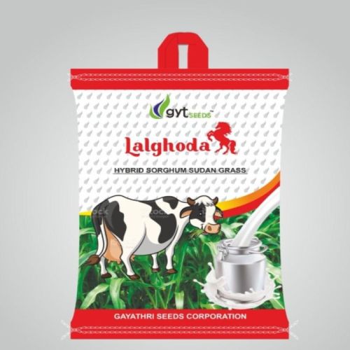 Lalghoda Hybrid Sorghum Sudan Grass Seeds, For Cattle Feed, Packaging Type : Plastic Packet