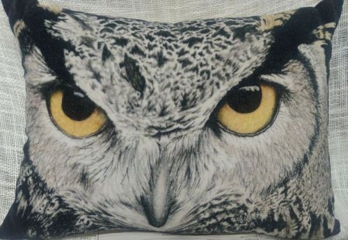 Digital Owl Print Cushion Cover, For Sofa, Bed, Chairs, Size : 35X45 Cm