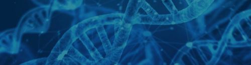 Microrna Agomir Antagomir Synthesis Services