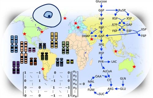 Cho Cells Recombinant Protein Expression Services