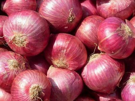A Grade Red Onion, For Cooking, Shelf Life : 7-15days