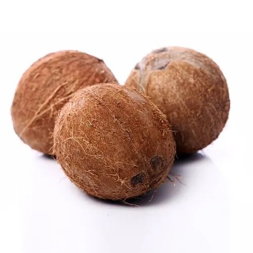 Brown Solid A Grade Semi Husked Coconut, For Pooja, Cooking, Packaging Type : Jute Bags