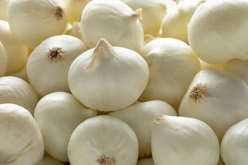 A Grade White Onion, Shelf Life : 15days