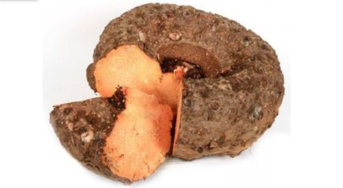 Fresh Elephant Yam, Packaging Type : Gunny Bag