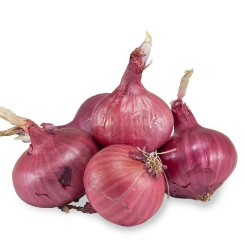 Natural Red Onion, For Cooking, Shelf Life : 7-15days