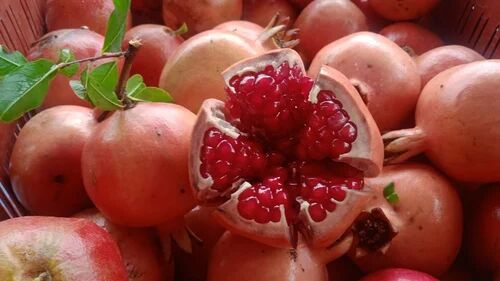 Natural Red Pomegranate, Packaging Type : Jute Bag