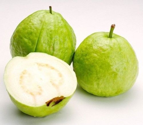 Natural Fresh Guava, Packaging Type : Plastic Packet