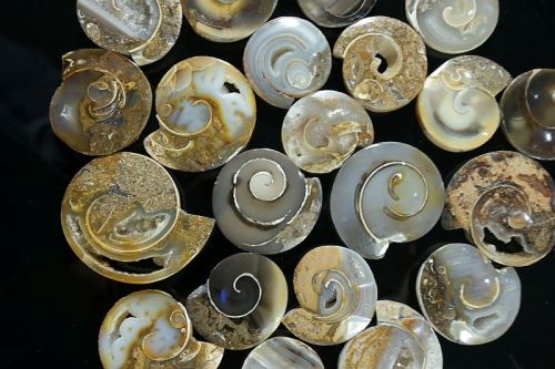 Multicolor Polished Gemstone Fossil Druzy Slice, Feature : Anti Corrosive, Colorful Pattern, Shiny Looks