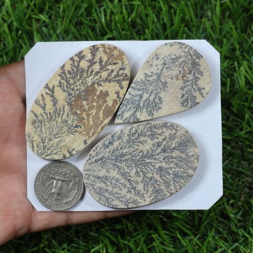 Multi Shape Natural Psilomelane Dendrite Slice Gemstone, Feature : Anti Corrosive, Colorful Pattern, Durable