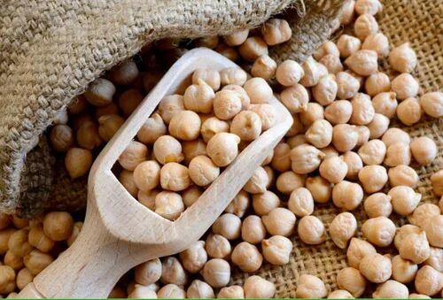 White Fresh Chickpeas, For Cooking, Grade Standard : Food Grade