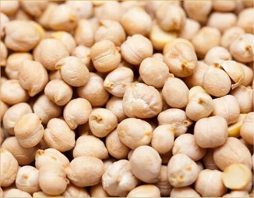 White Organic Raw Chickpeas, For Cooking, Grade Standard : Food Grade