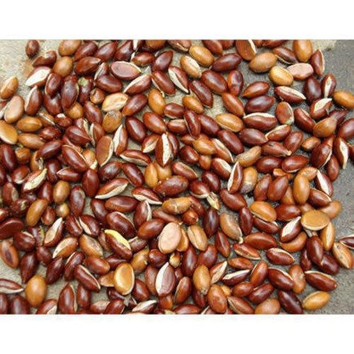 Brown Mahua Seeds, For Medicinal, Agriculture, Style : Dried