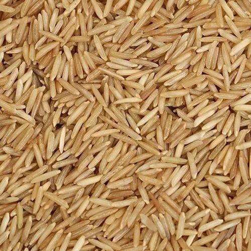 Hard Common Brown Rice, For Cooking, Human Consumption, Packaging Type : Jute Bags, PP Bags