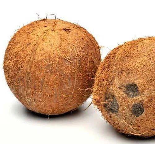 Hard Natural A Grade Husked Coconut, Speciality : Healthy, Easily Affordable