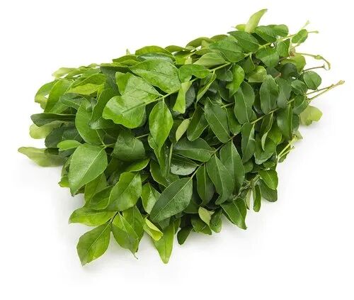 Natural Curry Leaf For Cooking