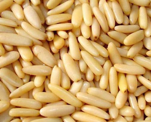 Pine Nuts, For Human Consumption, Packaging Type : Plastic Pack