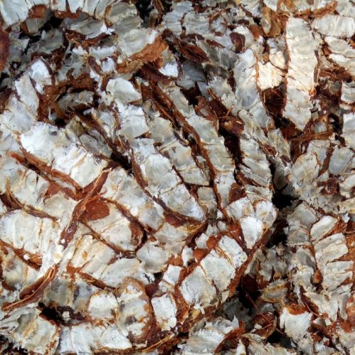 Whole Natural Seedless Tamarind, For Cooking, Packaging Type : Plastic Packet, Paper Box