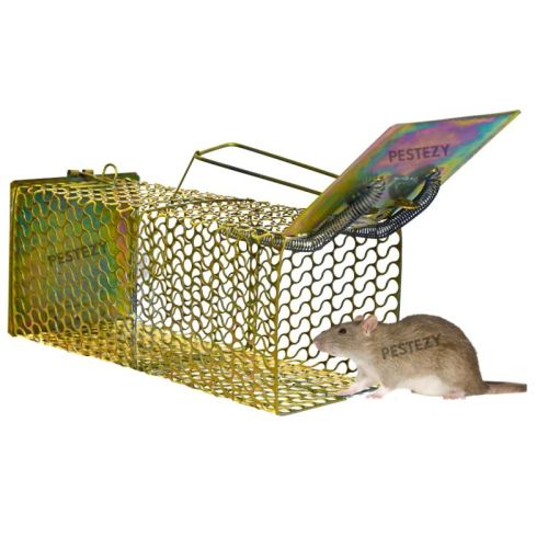 Pestezy Large Rat Trap Cage, Size : 26X11.5X10 CM