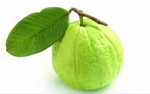 Green Round Fresh A Grade Fresh Guava, For Human Consumption, Packaging Type : Jute Bag