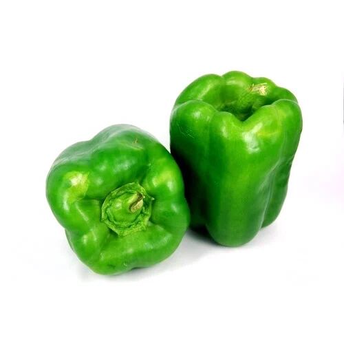 Whole Natural Fresh Green Capsicum, For Human Consumption, Cooking, Shelf Life : 15 Days