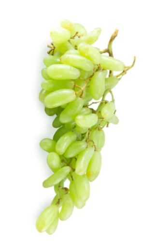 Natural Fresh Long Green Grapes, For Human Consumption, Packaging Type : Plastic Crates