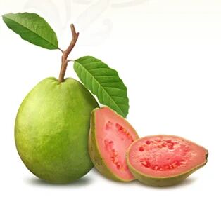 Round Natural Fresh Pink Guava, For Human Consumption